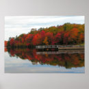 Search for fall foliage posters Photography