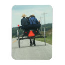 Search for buggie magnets Rural