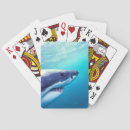 Search for jaws playing cards Great white shark