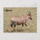 Recherche de patrie cartes postales Nature