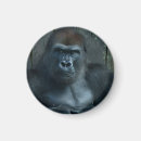 Search for dominic magnets Portrait