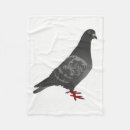 Search for pigeon blankets Dove