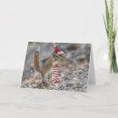 Search for chipmunks christmas cards Funny