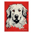 Recherche de pyrénées posters Animal de compagnie