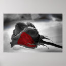 Recherche de hdr posters Rouge