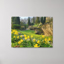 Search for daffodil canvas prints Landscape