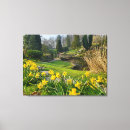 Search for daffodil canvas prints Landscape