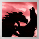 Recherche de stallion posters Cheval