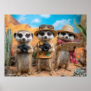 Recherche de suricate posters Mignon