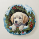 Search for golden retriever christmas pillows Cute
