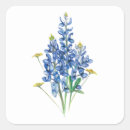 Search for bluebonnet stickers Wildflowers