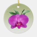 Search for orchid ornaments Blossom