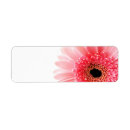 Search for gerbera return address labels Botanical