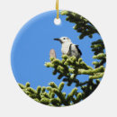 Recherche de chant de noël photographie Nature