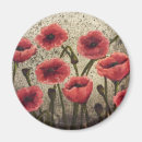 Search for stationary magnets Red