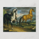 Recherche de deux chevaux cartes postales Animaux