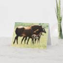 Search for foal cards Pony