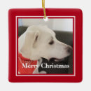 Search for two dogs ornaments Adorable