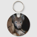 Search for timber keychains Wolves