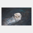 Search for wild otters Aquatic