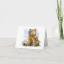 Search for cartoon butterfly cards Funny