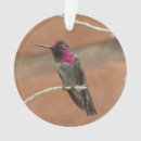 Search for hummingbird ornaments Animal