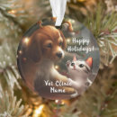 Search for veterinarian ornaments Cute