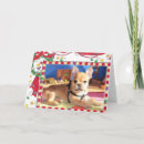 Search for french bulldog christmas cards Dogs