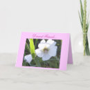 Search for dearest cards Best