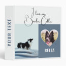 Recherche de border collie bureau fournitures Amoureux des chiens