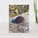 Recherche de oursin vœux cartes Océan