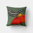 Search for longwing Photography