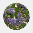 Recherche de lilas ornements Floral