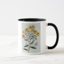 Search for primroses mugs Evening