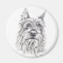 Recherche de berg magnete Animaux domestiques