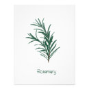 Search for rosemary herb posters Kitchen
