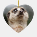 Search for meerkat ornaments Cute