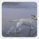Search for blurred motion stickers Side view