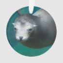 Search for sea lion ornaments Cute