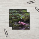 Recherche de longe cartes visite Rose