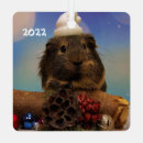Search for guinea pig christmas decor Animal