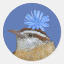 Search for wrens stickers Carolina wren