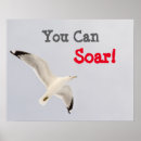 Search for soaring posters Sky