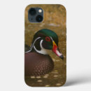 Search for wood duck iphone cases Animal