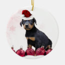 Search for doberman ornaments Pet