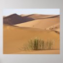 Recherche de sable dunes posters Afrique