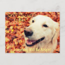 Recherche de tex cartes postales Animal