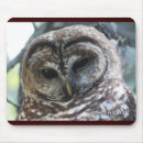 Search for owl mousepads Wildlife