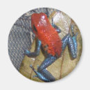 Recherche de conceptions colorées magnets Toute personne