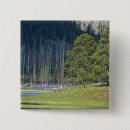 Recherche de bison de badges Wyoming